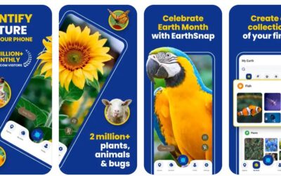 Big Tech Meets Small Wonders: Exploring Everyday Nature with EarthSnap